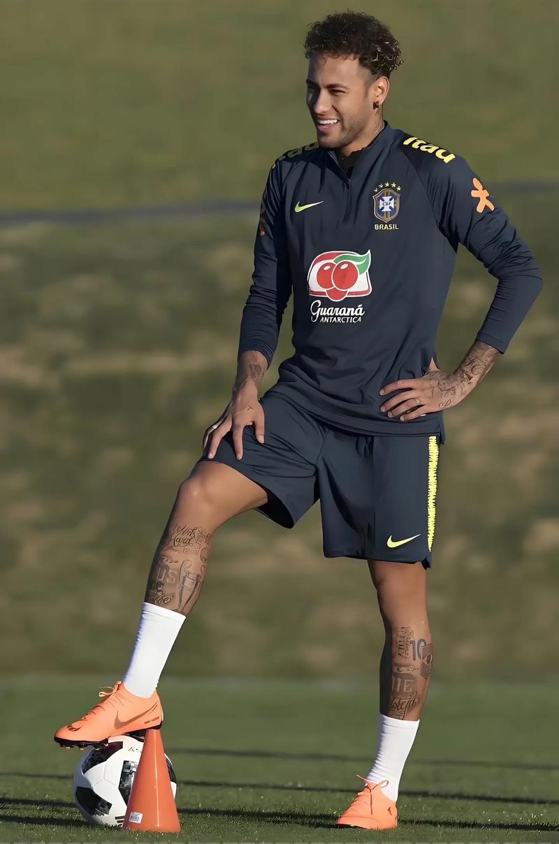 风险评分 风险评分